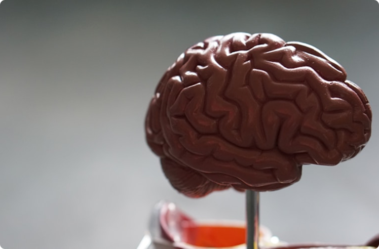 photo-1559757175-0eb30cd8c063 1 (1)